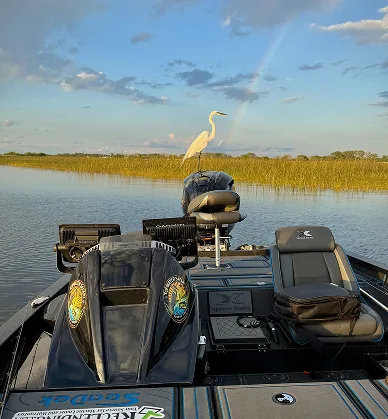 White egret perched on the bow of a bass boat, marsh and rainbow behind